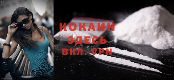 PSILOCYBIN Кулебаки