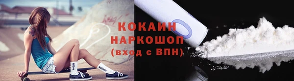 PSILOCYBIN Кулебаки