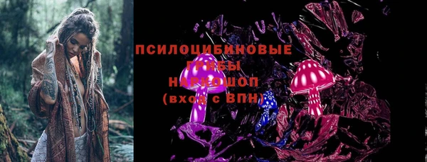 PSILOCYBIN Кулебаки