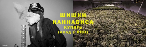крисы Куйбышев