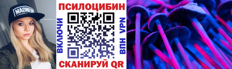 Псилоцибиновые грибы Cubensis  Купить закладки  Городовиковск 